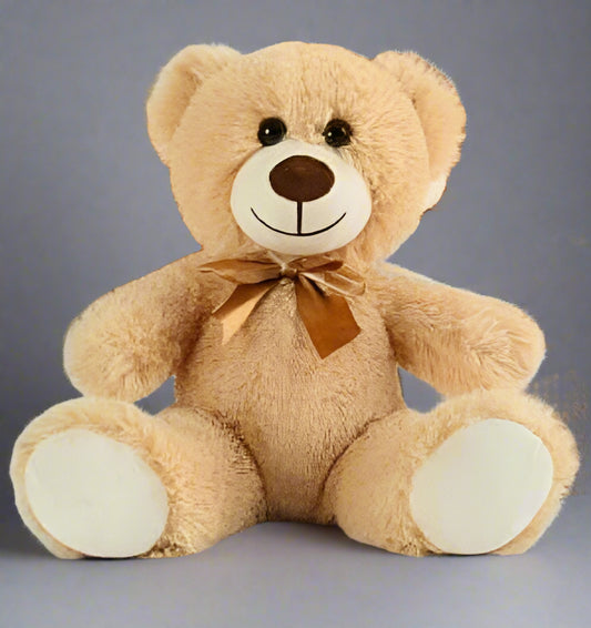 Anasery Bear